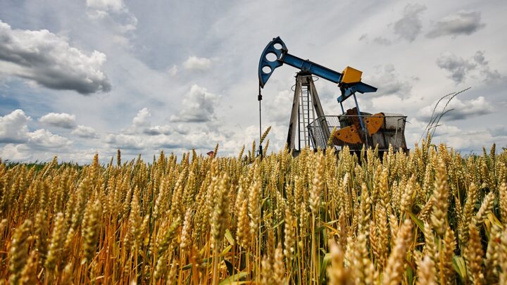 Cosa sono le commodities e come poterle utilizzare in portafoglio